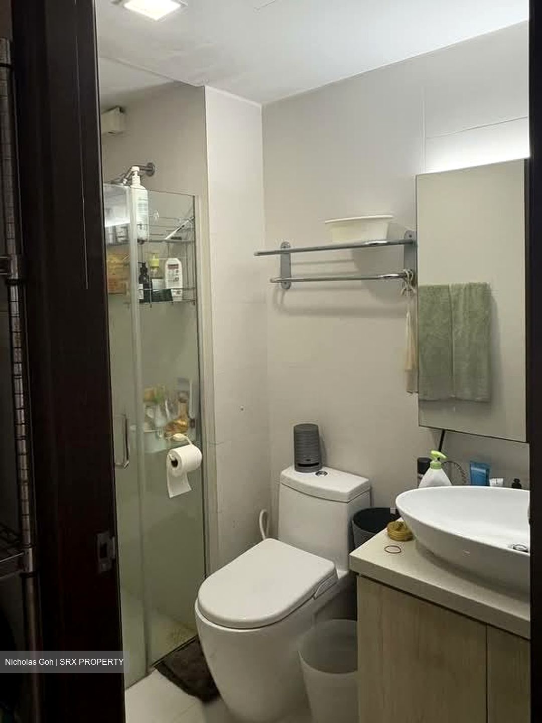 Tanglin View (D3), Condominium #553578861